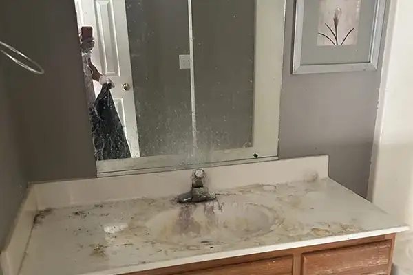 Cosmic Cleaning LLC's other services