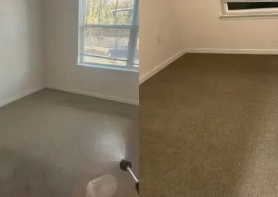 Professional Cleaning Services (3)