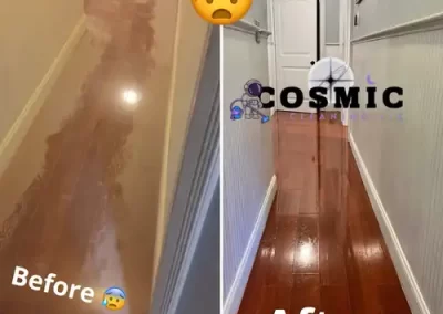 Professional Cleaning Services (5)