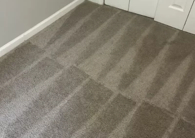 Trusted House Cleaner